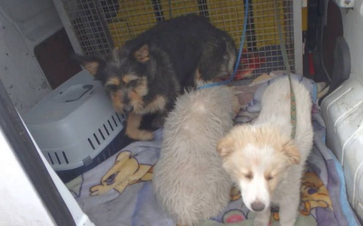 Zbiórka Każda złotówka się liczy Pomocy - zdjęcie główne