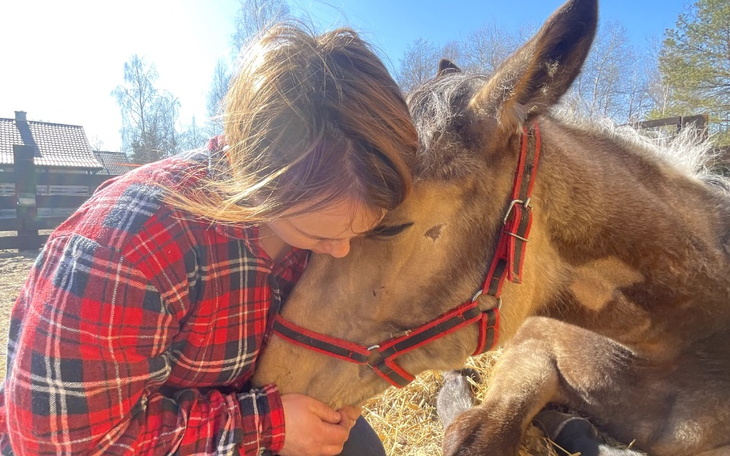 Zbiórka Pilna przeprowadzka koni - zdjęcie główne