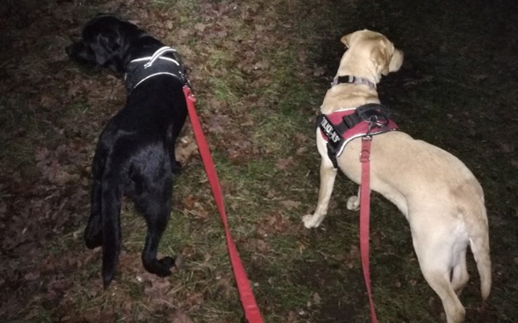 Zbiórka Poszukiwania Dawida Żukowskiego - zdjęcie główne