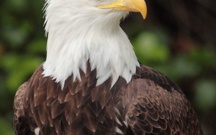 Zbiórka Remont mieszkania dla uchodźców - zdjęcie główne