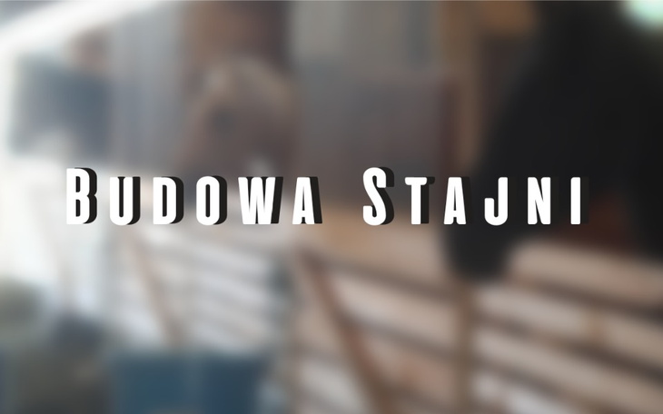 Zbiórka Postawienie Stajni - zdjęcie główne