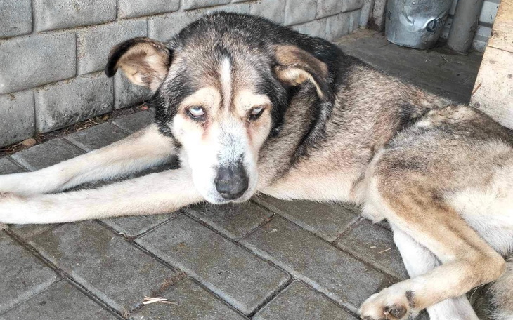 Zbiórka Skrajnie wycieńczony Napi - zdjęcie główne