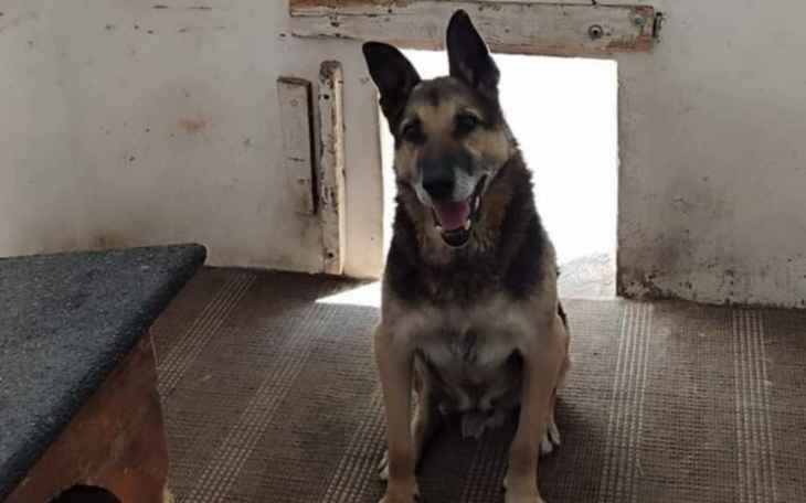 Zbiórka Zbiórka na transport Huzara . - zdjęcie główne