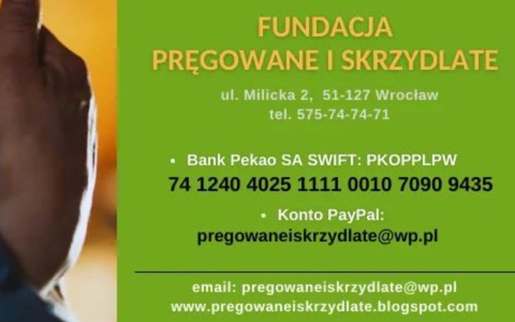 Zbiórka Fundacja Pręgowane i Skrzydlate - zdjęcie główne