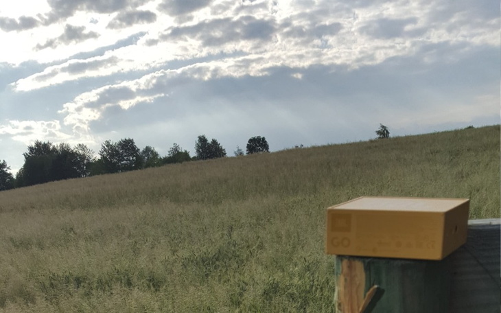 Zbiórka Dług Grzywna - zdjęcie główne