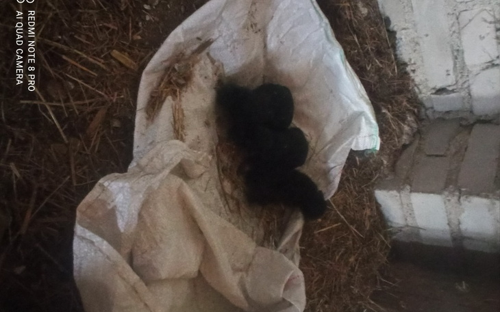 Zbiórka Zabierzcie mnie stąd - zdjęcie główne