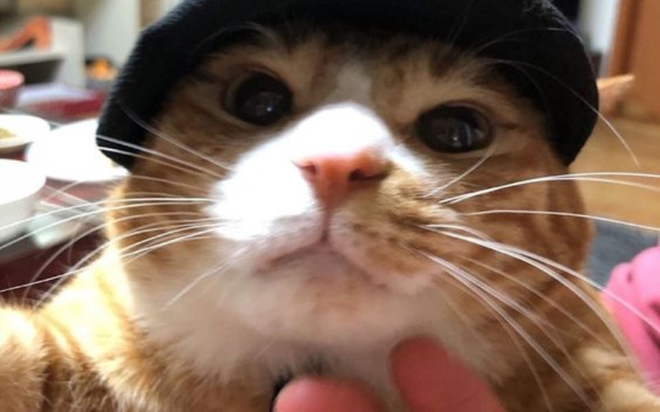 Zbiórka Potrzebuję na naprawę telefonu - zdjęcie główne