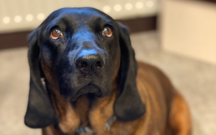 Zbiórka Operacja zerwanego wiązadła INY - zdjęcie główne