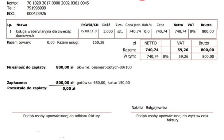 Zbiórka Kotek spod auta - zdjęcie główne