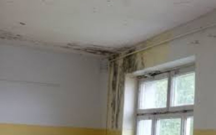 Zbiórka zbieramy na remąt - zdjęcie główne