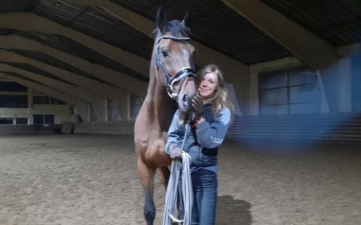 Zbiórka Pomoc dla Konia z Ukrainy - zdjęcie główne