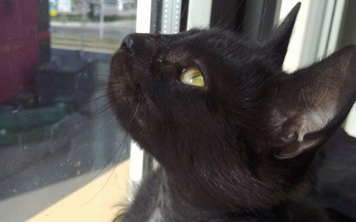 Zbiórka Ratujmy życie Kassuni - zdjęcie główne