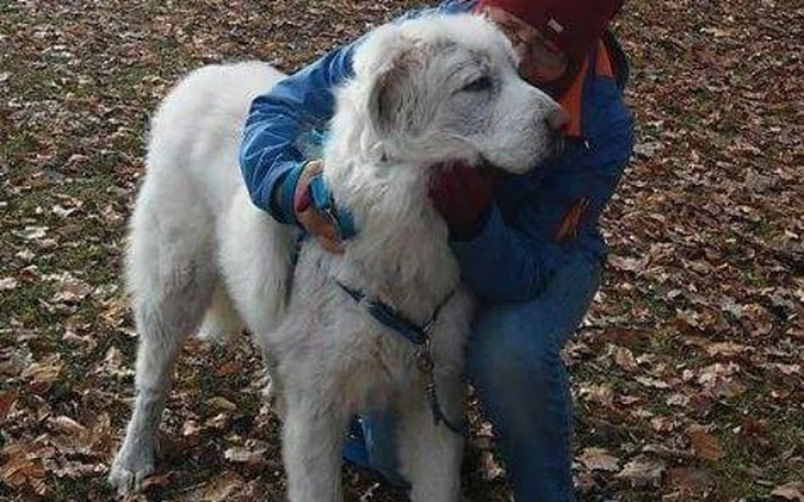 Zbiórka Na pomoc choremu podhalanowi. - zdjęcie główne