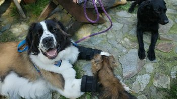 Zbiórka Zbiórka dla Karkonosków - miniaturka zdjęcia