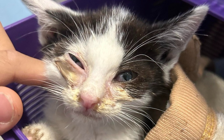 Zbiórka By jakoś przetrwać - zdjęcie główne