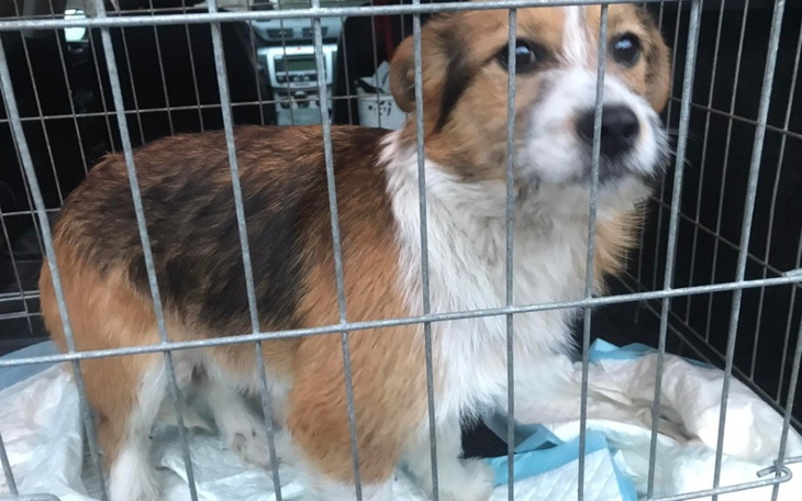 Zbiórka Wyrzucona na pustkowiu - zdjęcie główne