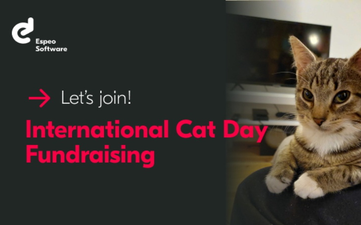 Zbiórka Wspieramy Kotki na Dzień Kota - zdjęcie główne