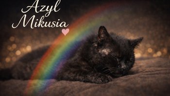 Zbiórka Azyl Mikusia ich ostatnia szansa - miniaturka zdjęcia