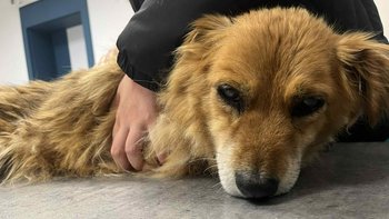 Zbiórka Beza... - miniaturka zdjęcia