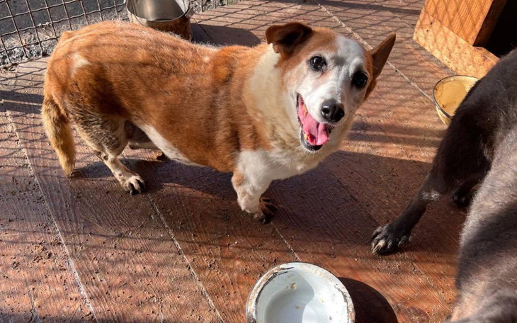 Zbiórka Fanta z Chersonia czeka na pomoc - zdjęcie główne