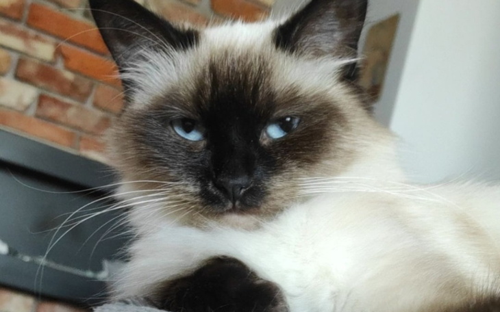 Zbiórka Leczenie chorej zuzi - zdjęcie główne