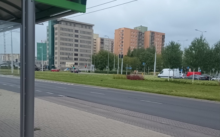 Zbiórka Na opłaty licealistka - zdjęcie główne