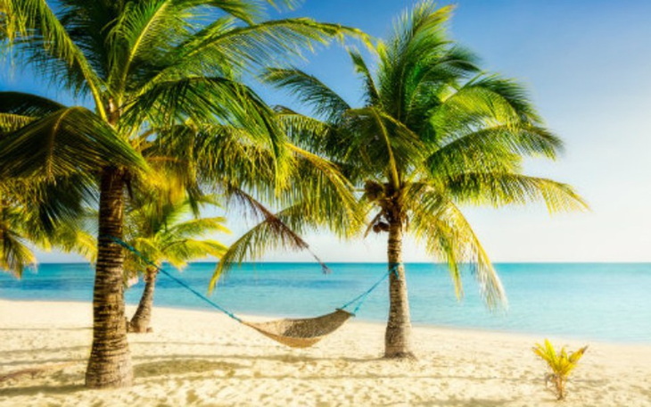 Zbiórka Wakacje dla rodziców. - zdjęcie główne