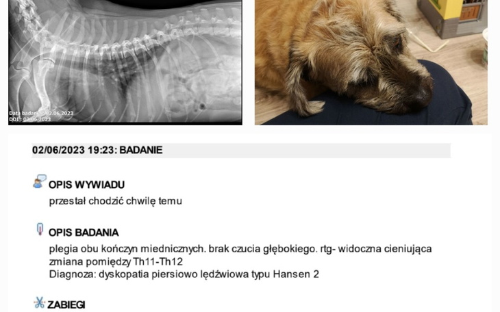 Zbiórka Ratujemy Popi - zdjęcie główne