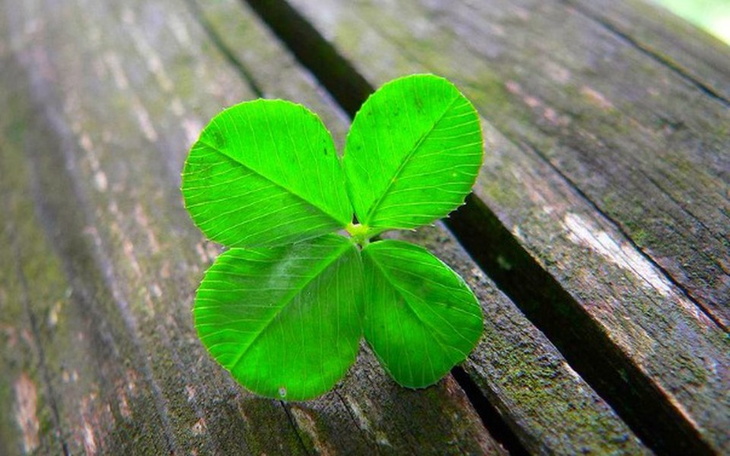 Zbiórka Włamanie na konto bankowe - zdjęcie główne