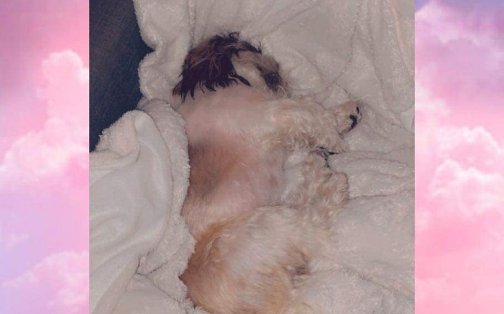 Zbiórka Operacje Olafa - zdjęcie główne