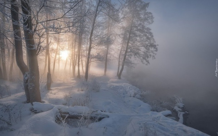 Zbiórka zawsze chciałem mieć milion - zdjęcie główne