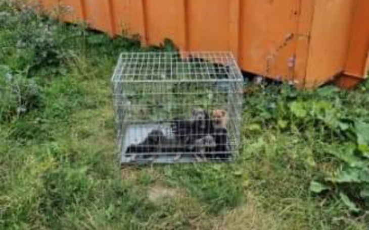 Zbiórka Wyrzucone na śmietnik. - zdjęcie główne