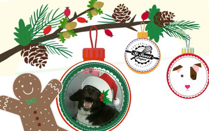 Zbiórka Święta dla Korabiewic - zdjęcie główne