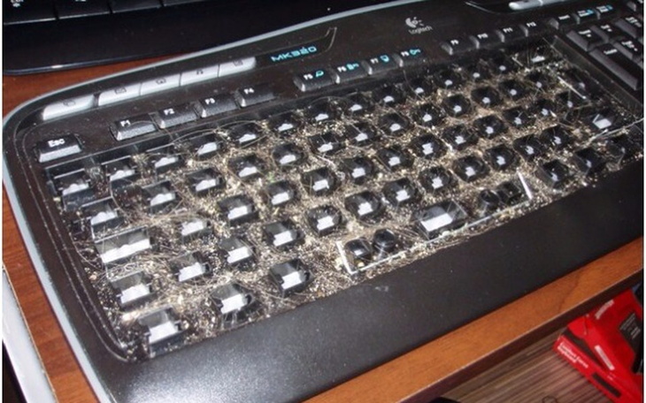 Zbiórka Nowa Klawiatura - zdjęcie główne