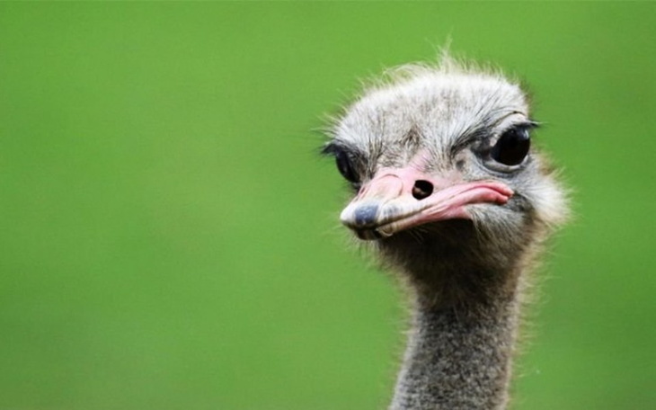 Zbiórka Wycieczka na szkolną 17 - zdjęcie główne