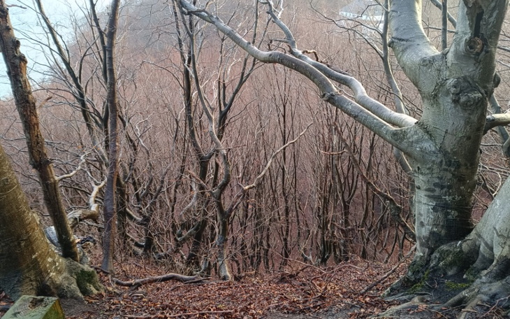 Zbiórka Na spełnienie dziecięcy marzeń - zdjęcie główne