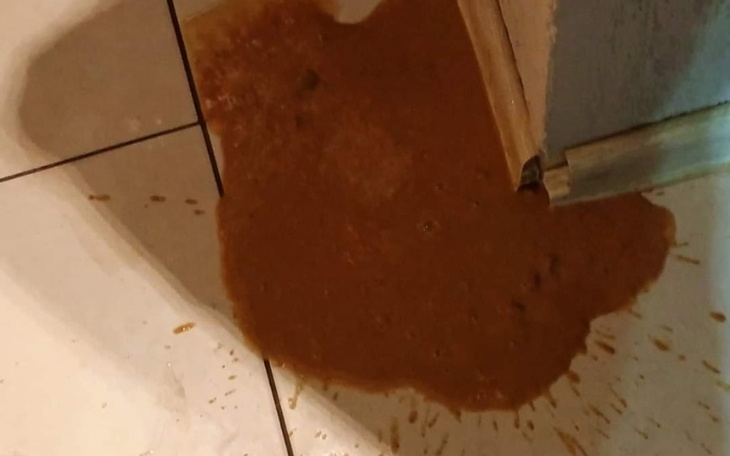 Zbiórka Parowiroza u szczeniąt - zdjęcie główne