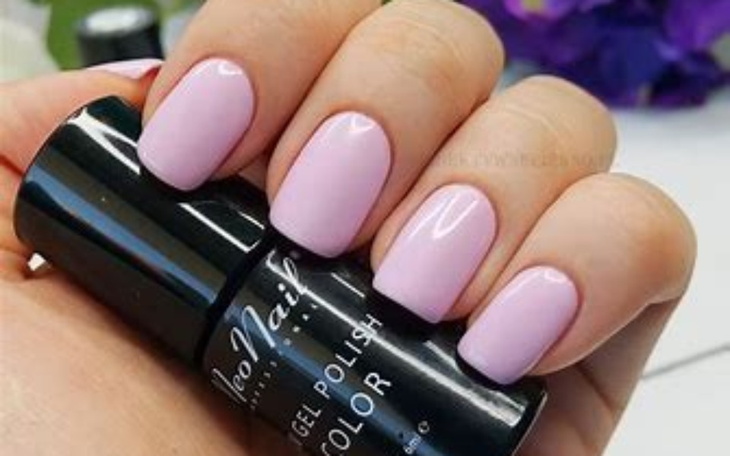 Zbiórka Na Marzenia Rozwijające - zdjęcie główne