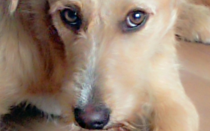 Zbiórka Zauważ mnie błagam - zdjęcie główne