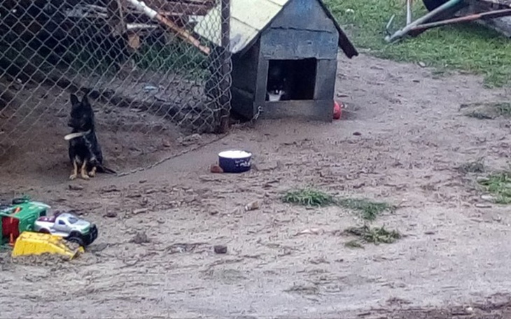 Zbiórka Nowe lepsze zycie - zdjęcie główne