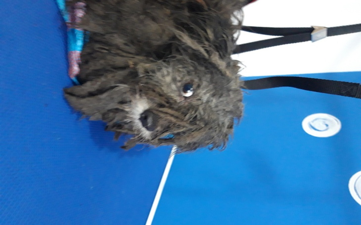 Zbiórka Buda dla staszka - zdjęcie główne