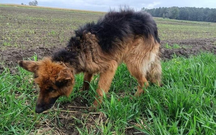 Zbiórka Zwróćmy MU wiarę w człowieka - zdjęcie główne