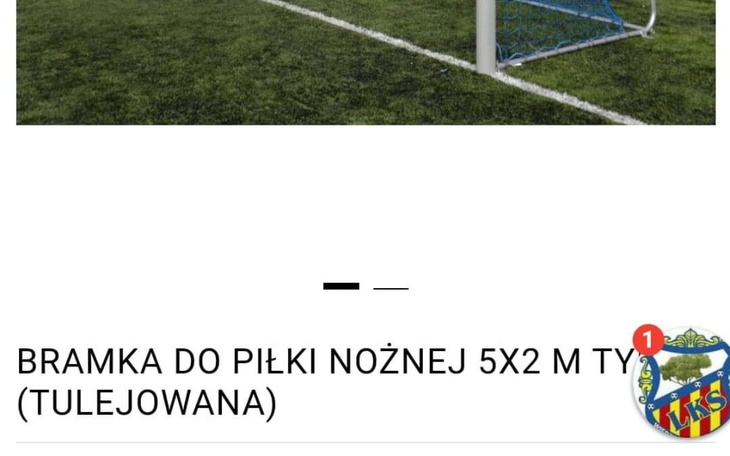 Zbiórka Zakup bramek oraz siatek - zdjęcie główne