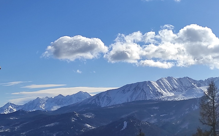 Zbiórka Zaręczyny - Pierścionek - zdjęcie główne
