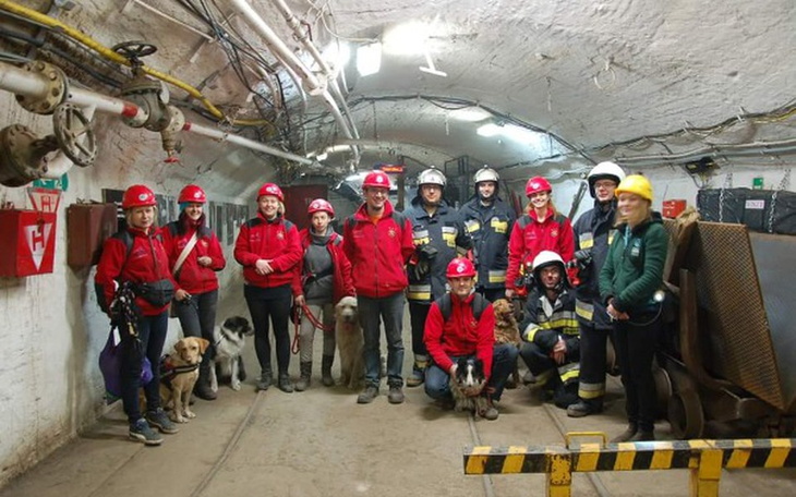 Zbiórka Wielkie Dzięki - udało się ! - zdjęcie główne