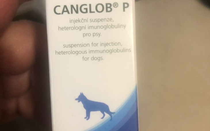 Opakowanie leku CANGLOB P dla psów z ilustracją psa.