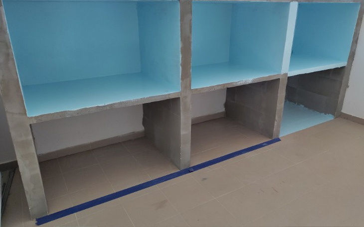 Zbiórka Nowa kwarantanna dla kotów - zdjęcie główne