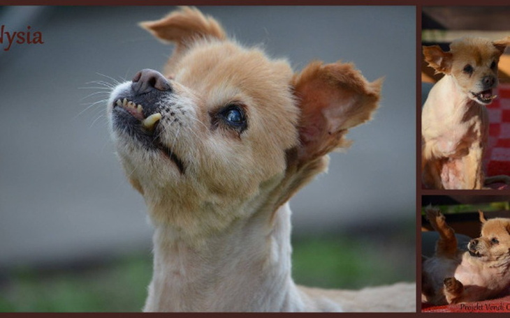 Zbiórka Aby przterwać zimę - zdjęcie główne