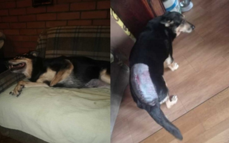 Zbiórka Razem dla Kory - zdjęcie główne