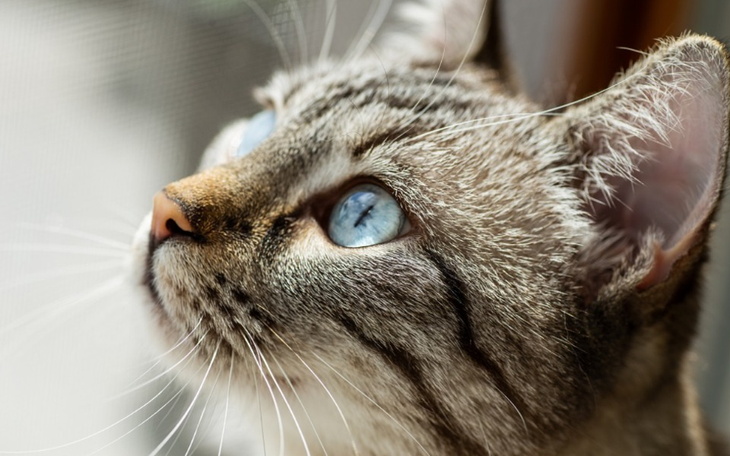 Zbiórka Nowy Laptop dla dziecka - zdjęcie główne